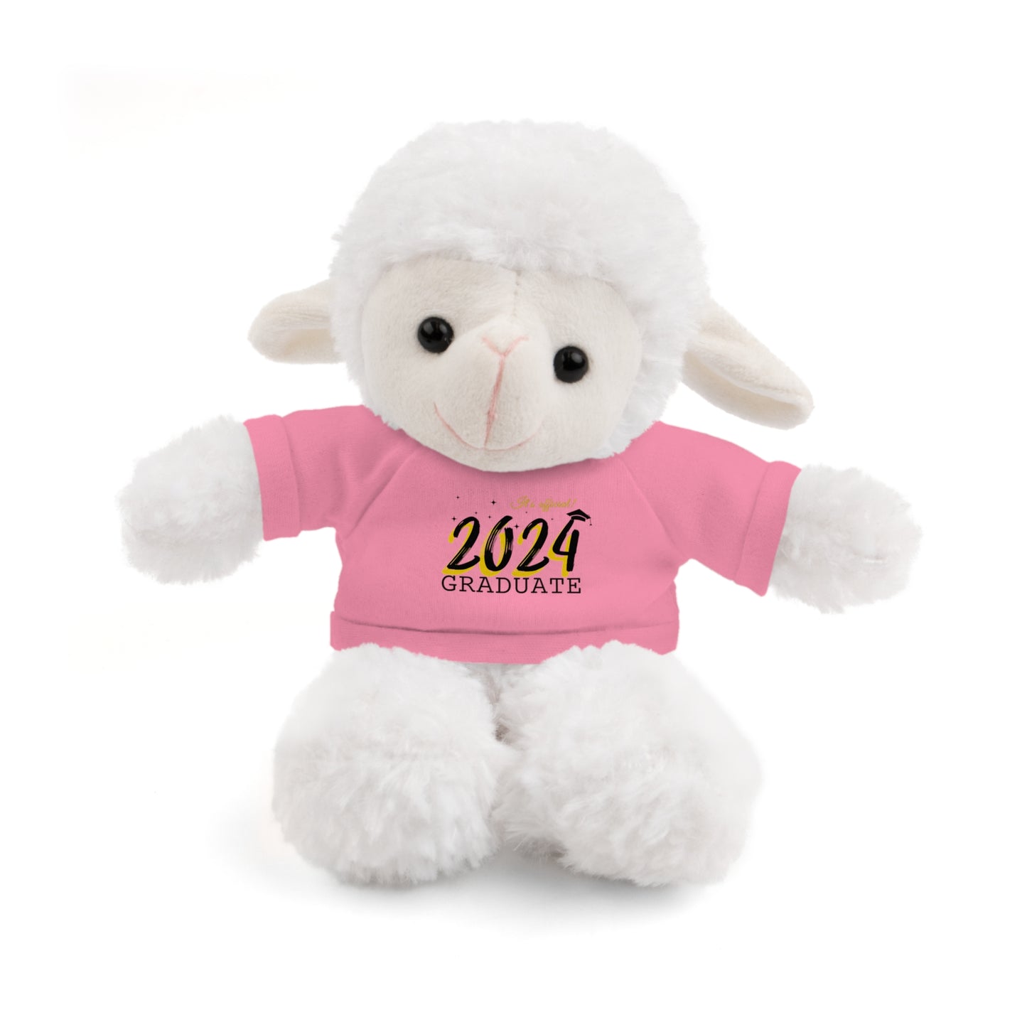 2024 Graduate Stuffed Animals with Tee