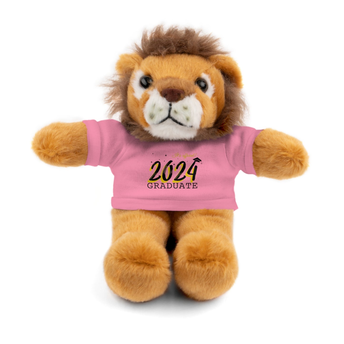 2024 Graduate Stuffed Animals with Tee